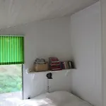 Holmehoj