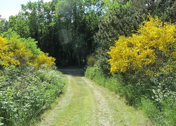 Semesterbostad Holmehoj Ebeltoft